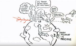 L’évolution de l’empathie