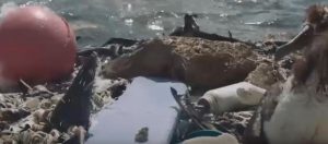 Midway l’île de plastique