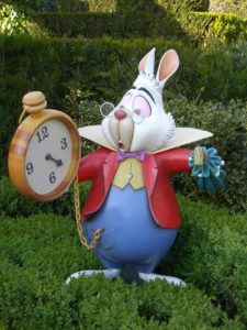 Le lapin blanc