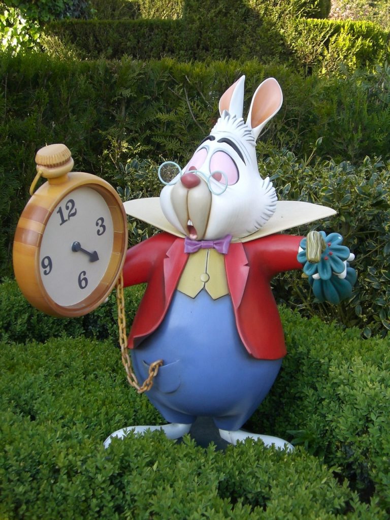 Le lapin blanc
