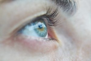 Levez les yeux ! Par Paul Smith