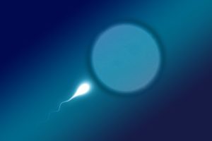 Le Sperme Zéro : la fin de la fertilité masculine