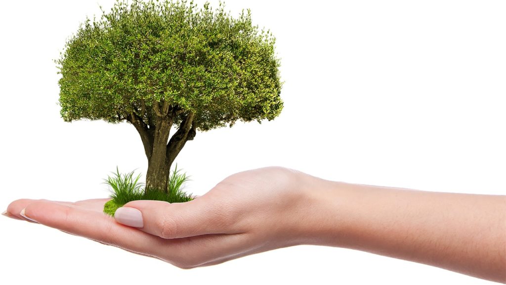 L’impact Investing, une idée qui fait son chemin