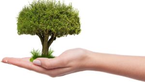 L’impact Investing, une idée qui fait son chemin