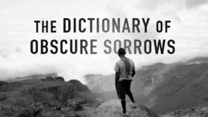 Dictionnary of obscure sorrows : l’infinie délicatesse des mots sur nos émotions indéfinissables