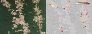 Planet : comment la Good Data et le machine learning traquent la déforestation ?