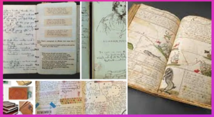 Common place books, capturer la merveille