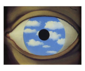 Regarde le poisson ou l’Art de l’observation