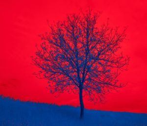 Ce qui fulgure : avec Annie Jacobsen, Ursula Le Guin, Zygmunt Bauman, Lucia Annunzio et Scott Alexander