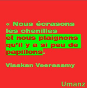 N’écrase pas les chenilles (petit conseil d’éducation)