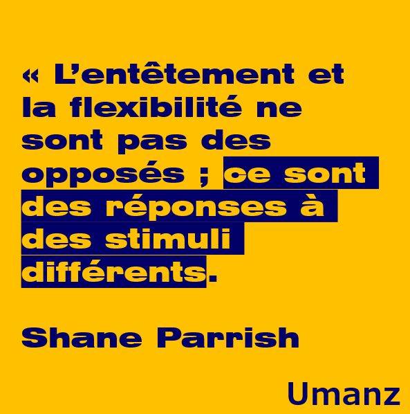 Entêtement Vs Flexibilité